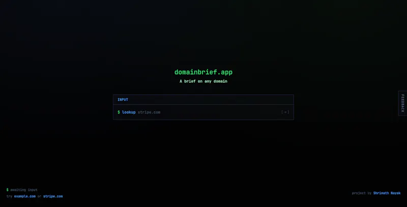 DomainBrief - domain lookup report screenshot 2
