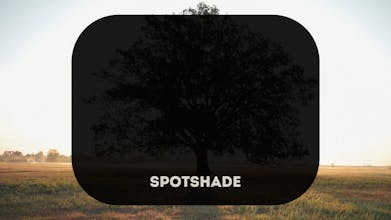 SPOT SHADE - Window Stickies gallery image
