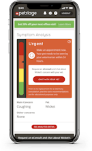 Petriage gallery image