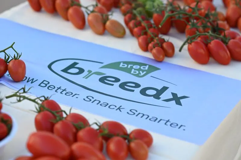 BreedX Specialty Vegetable Seed Breeding gallery image