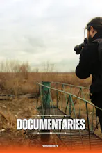 VisualiseTv gallery image