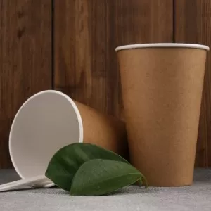 Compostable Packaging 