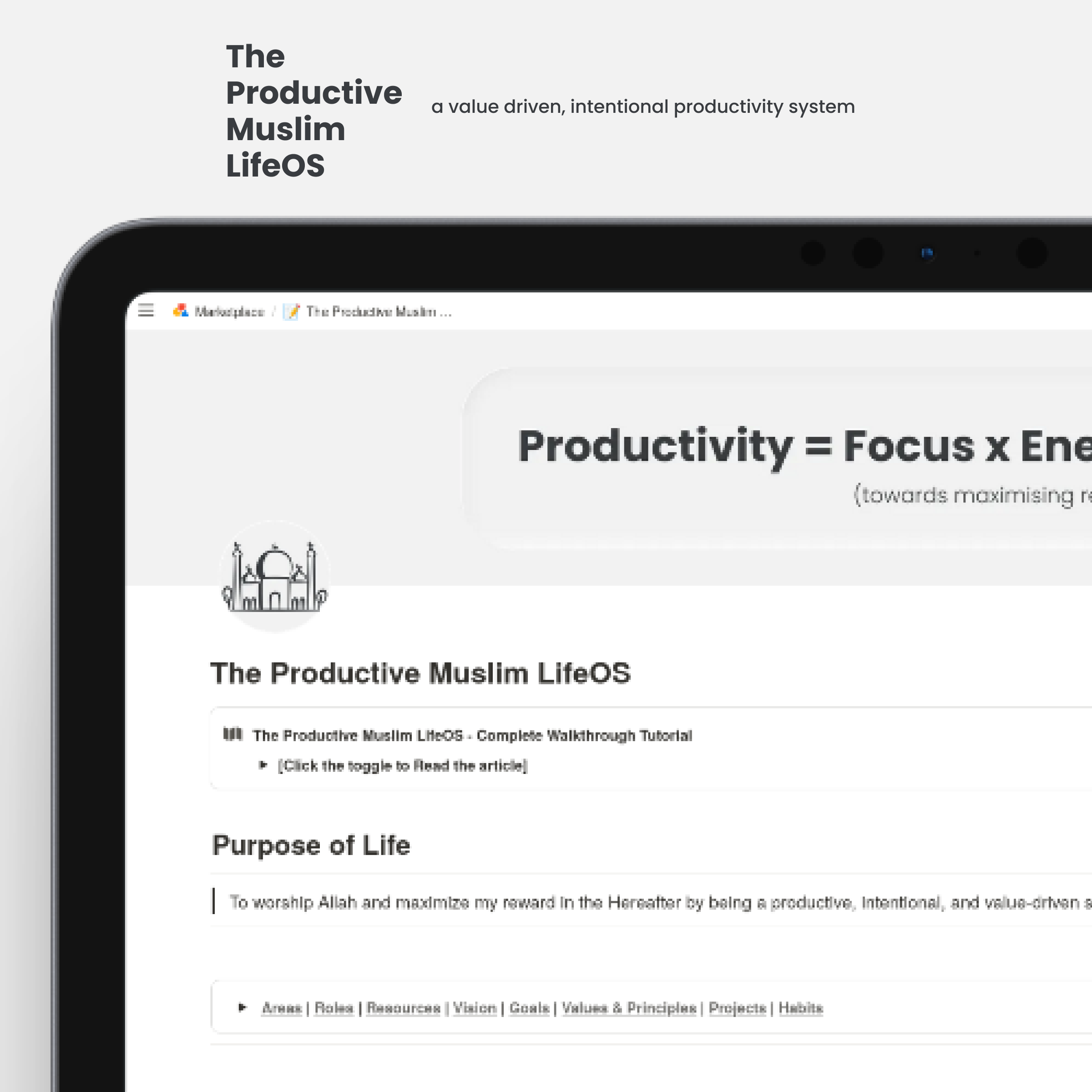 Productive Muslim Li... logo