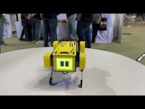 Mini Pupper 2 gallery image