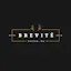 Brevitē Camera Backpacks
