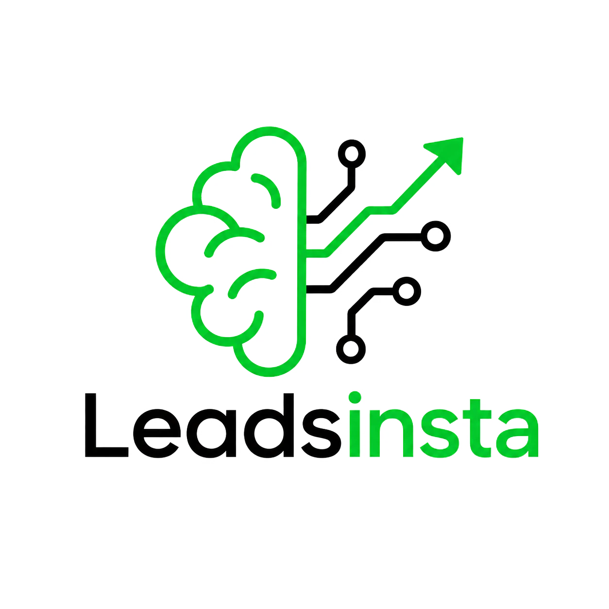 LeadsInsta logo