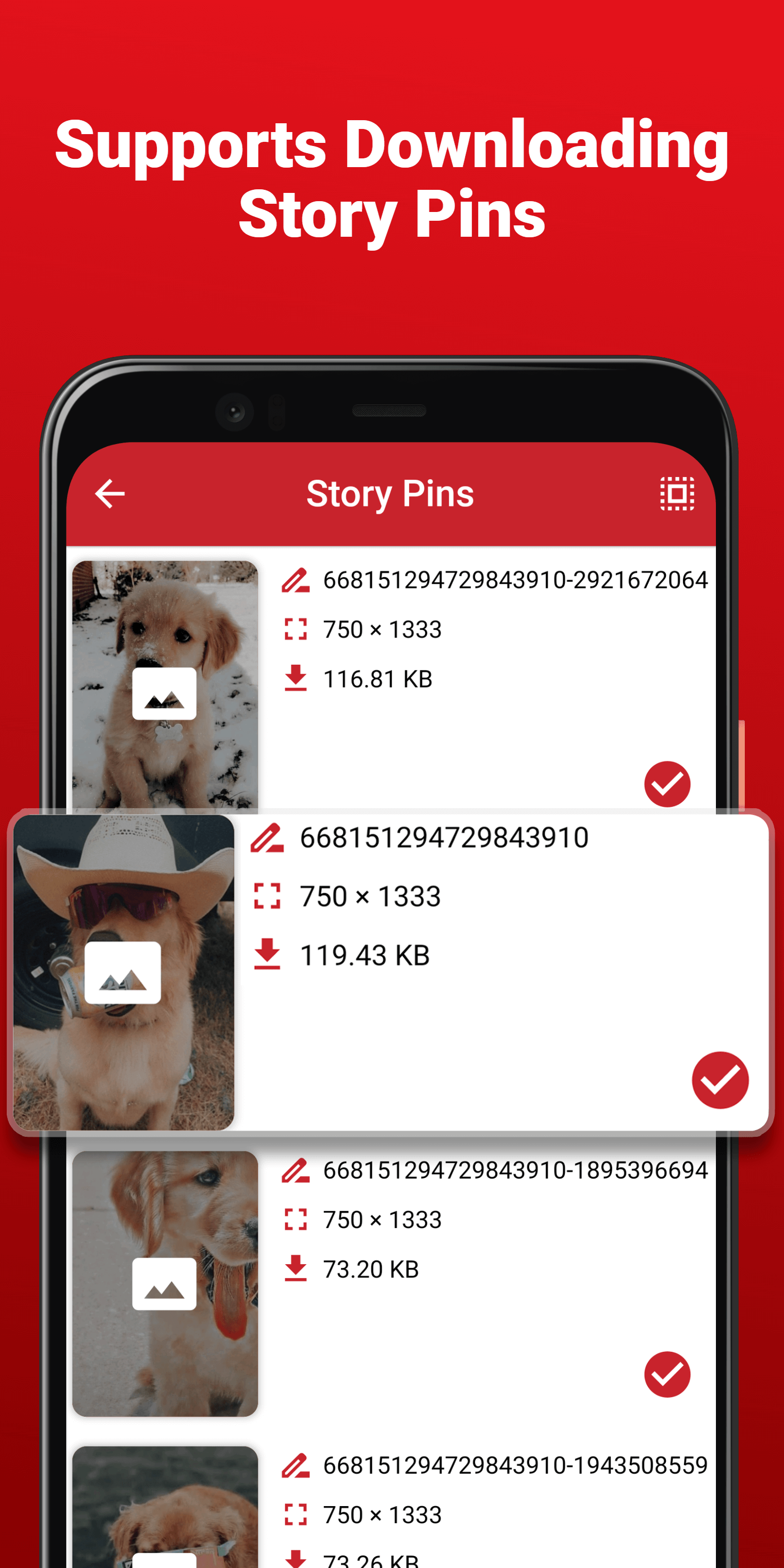 Video Downloader For Pinterest gallery image