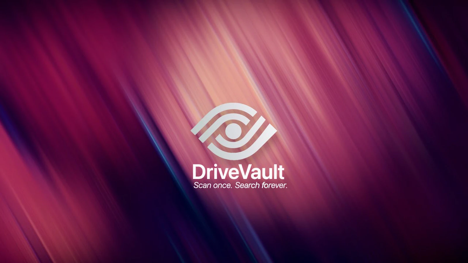 DriveVault screenshot 1 (video preview)