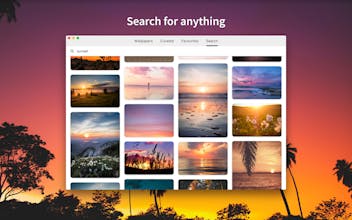 Splashify v2 gallery image