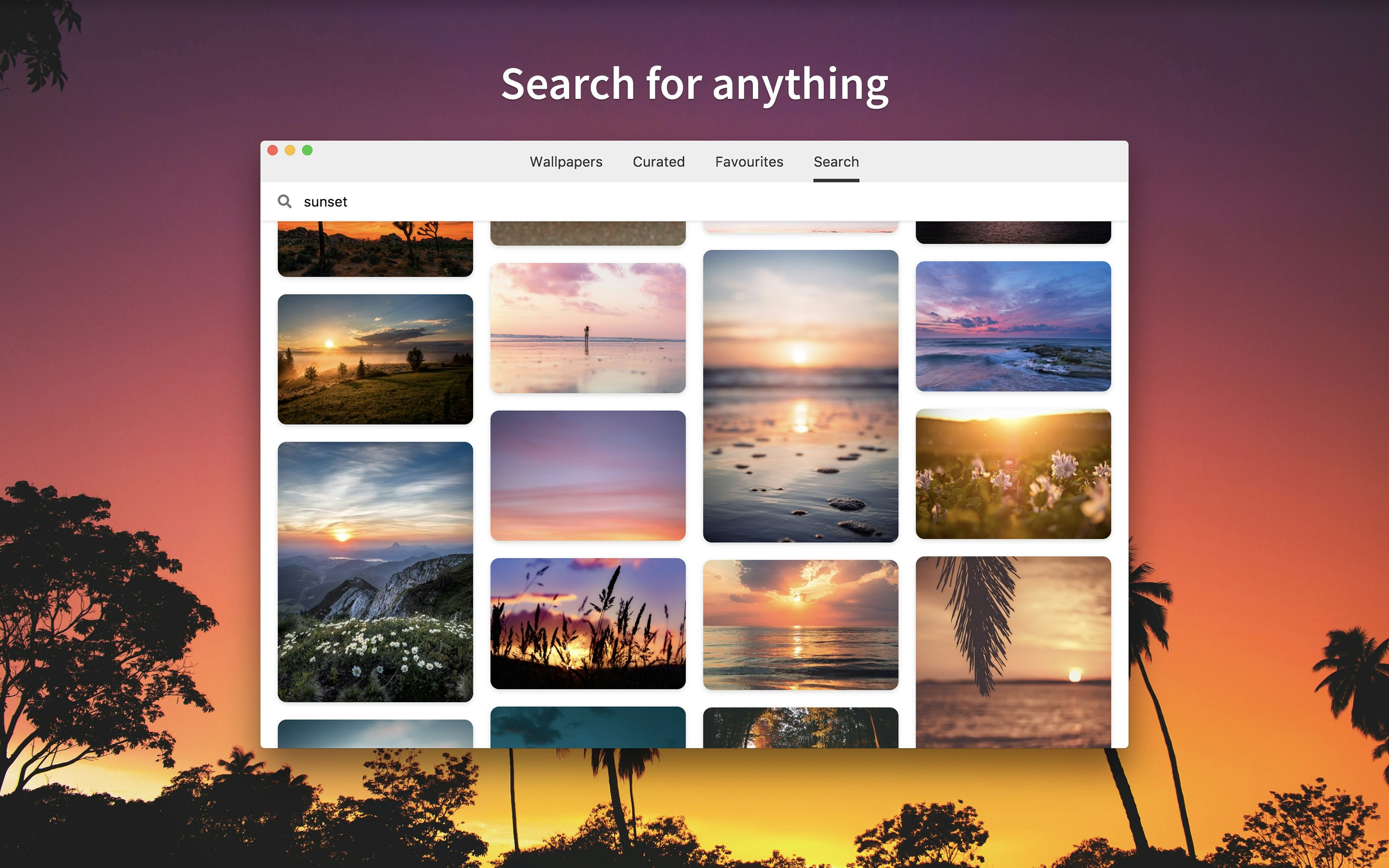 Splashify v2 Image