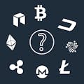 Net Worth in Crypto