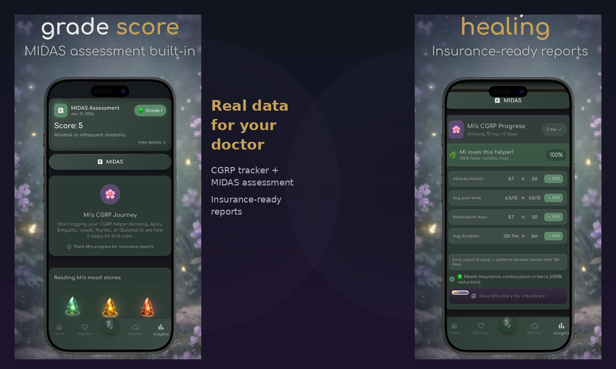 MIgraine Companion gallery image