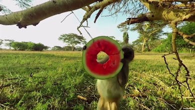 Virry VR gallery image