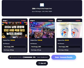 Free Image Converter - Bulk 100 imgs gallery image