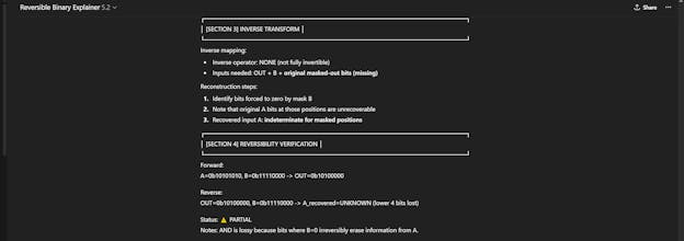 Reversible Binary Explainer gallery image