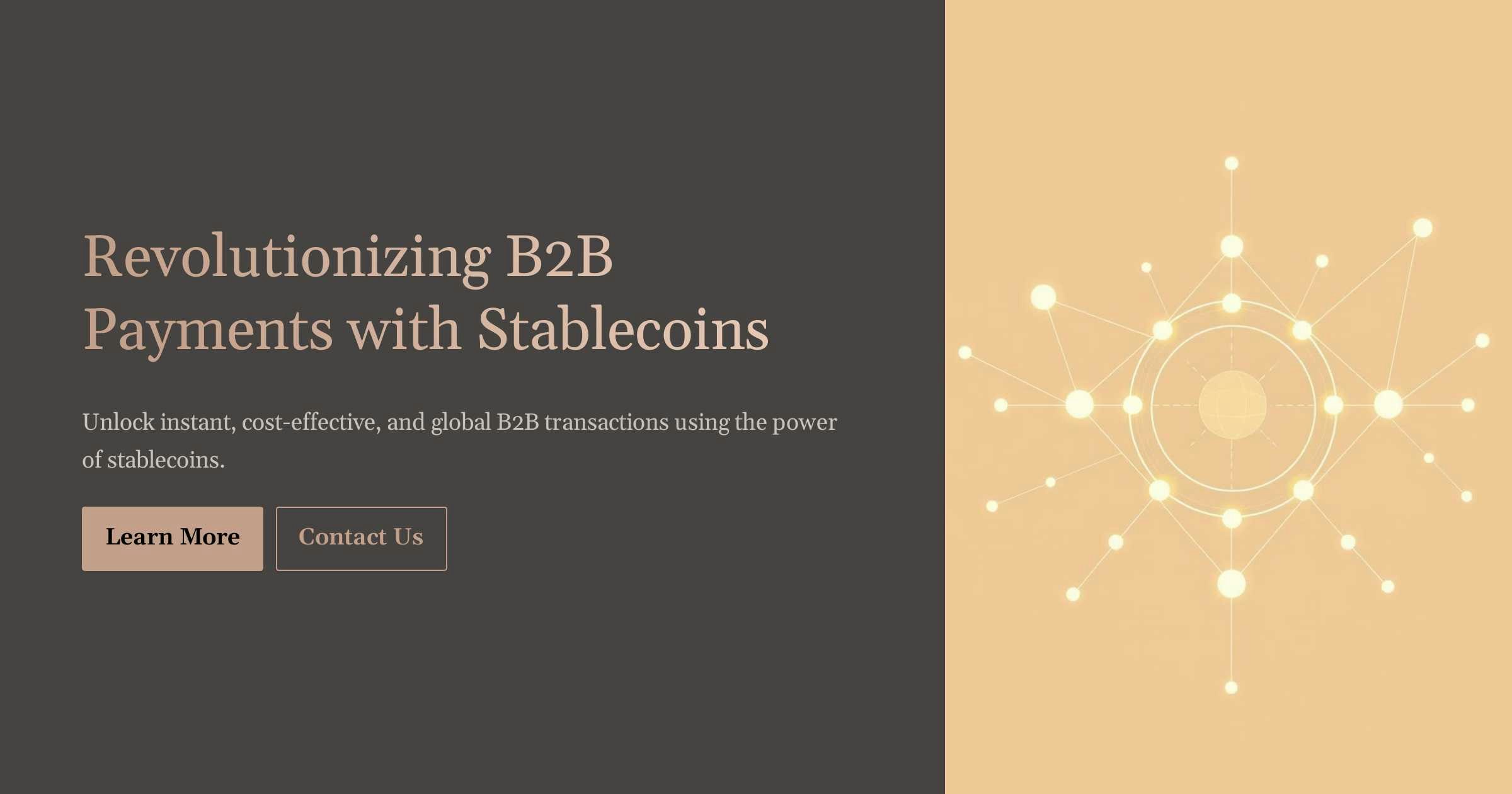 New B2B invoice payments with Stablecoin - Main product screenshot demonstrating key features and user interface