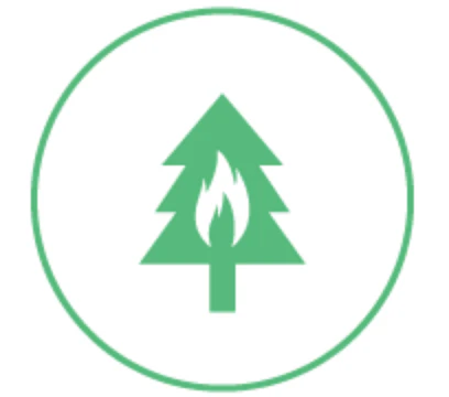 Climate Emergency Now