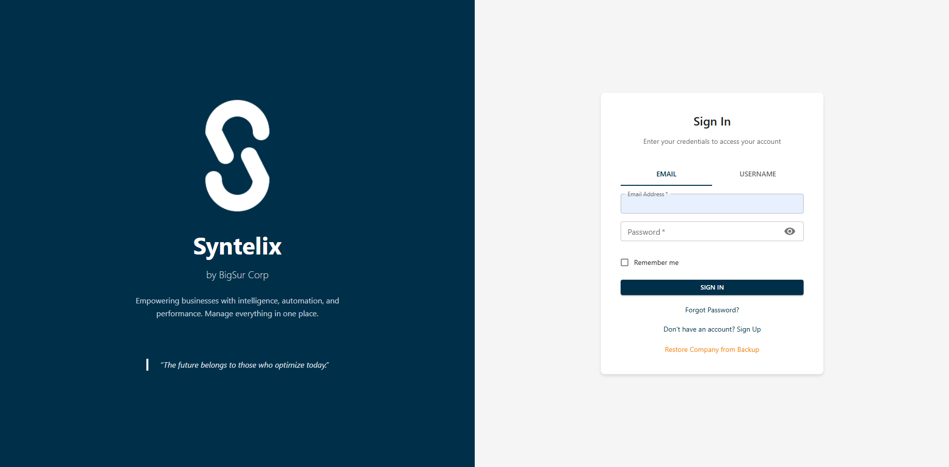 Syntelix ERP gallery image