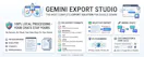 Gemini Export Studio