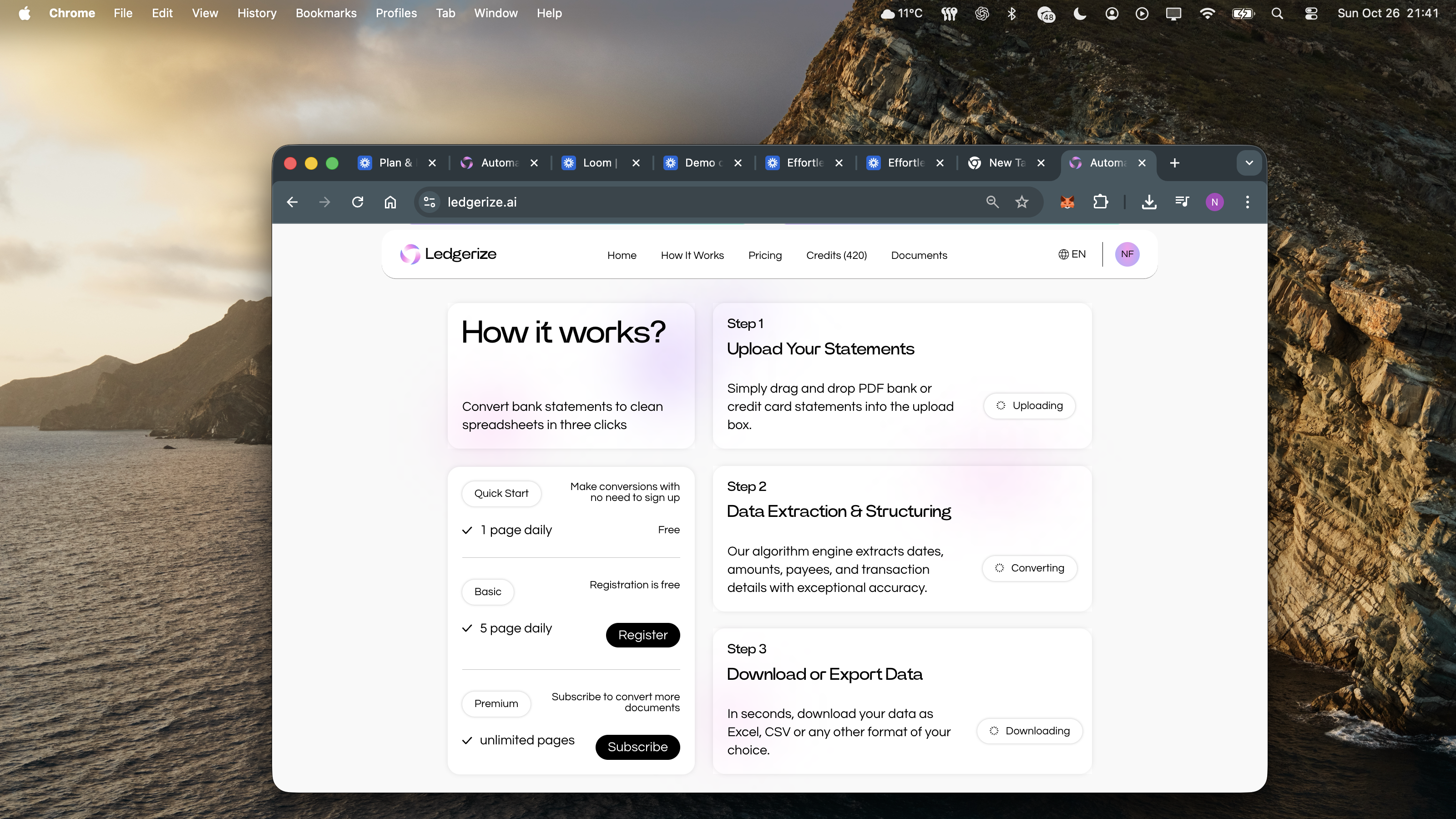 Ledgerize gallery image