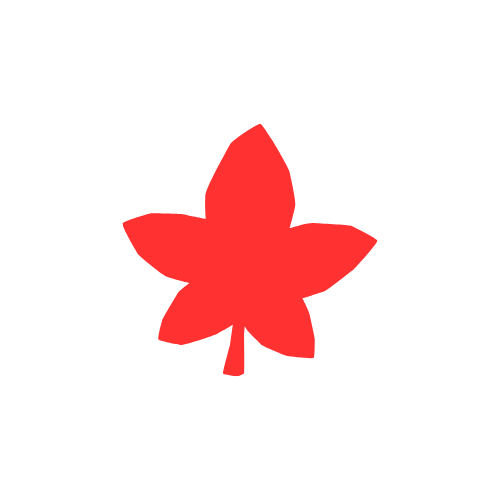 StudyPermitTracker