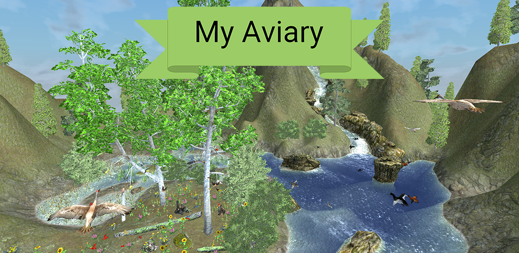 My Aviary gallery image