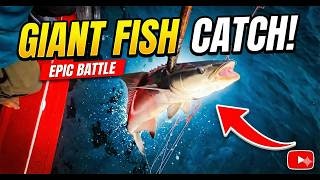 We ALMOST MISSED the Biggest Fish !