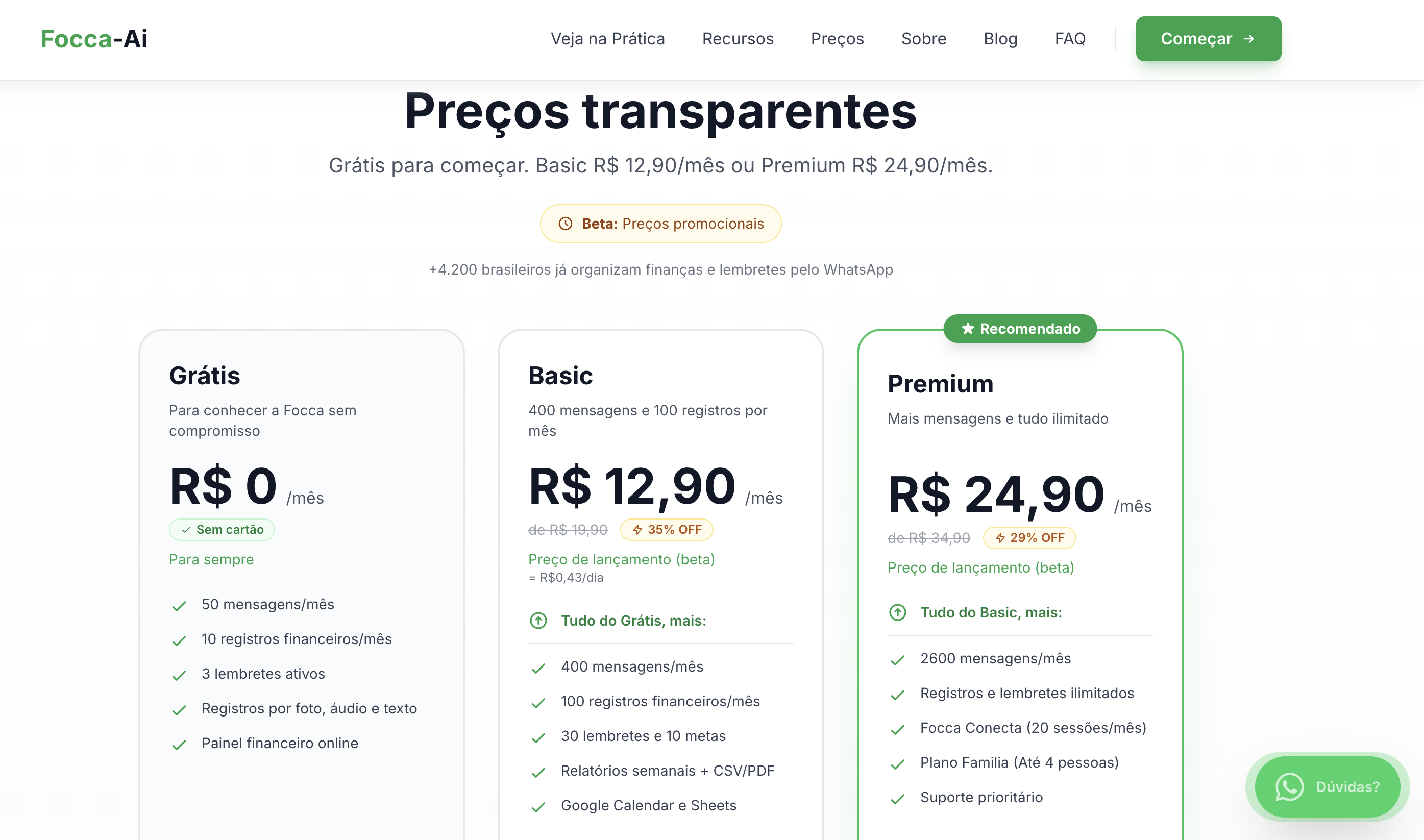 Focca-Ai gallery image