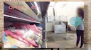 Bodega