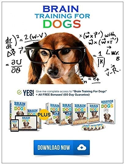 Brain Training For Dogs Reviews gallery image