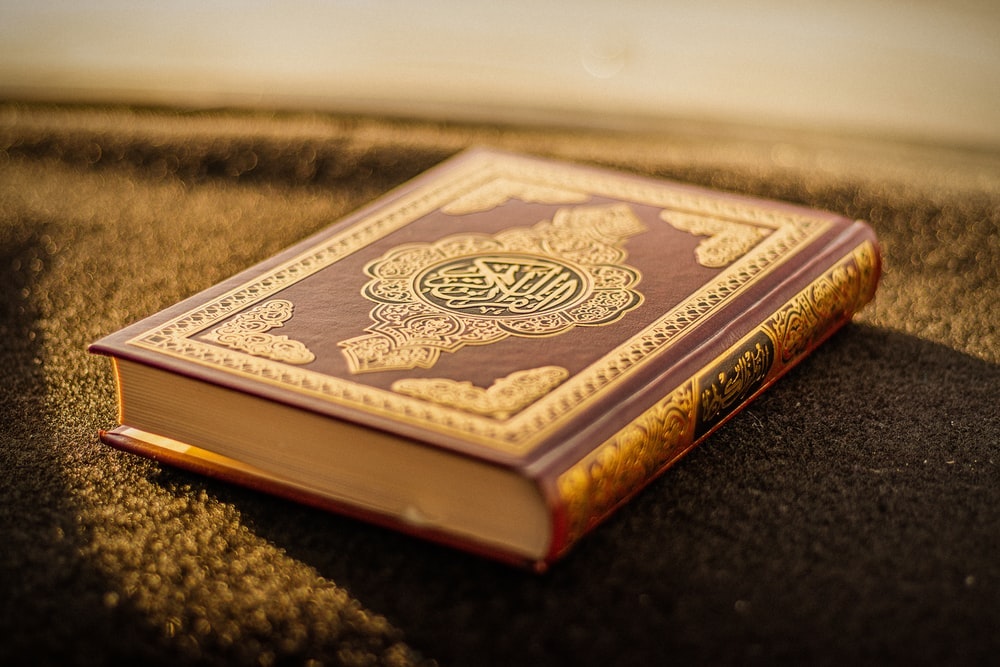 How to Read The Quran in The Right Way