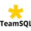 Team SQL