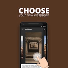 Wopple gallery image