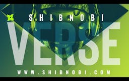 Shibnobi Verse media 1