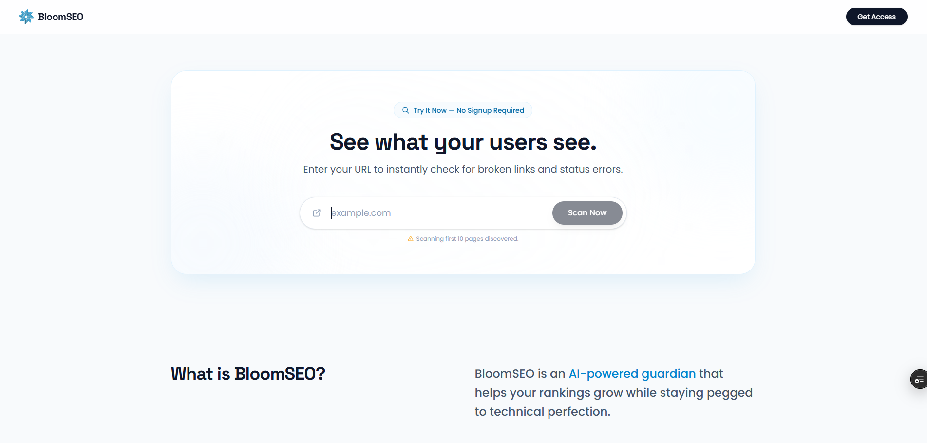 BloomSEO gallery image