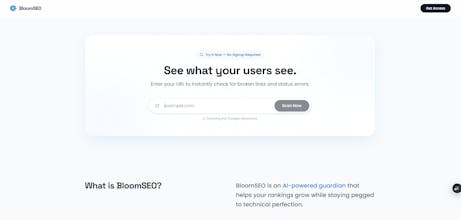BloomSEO gallery image