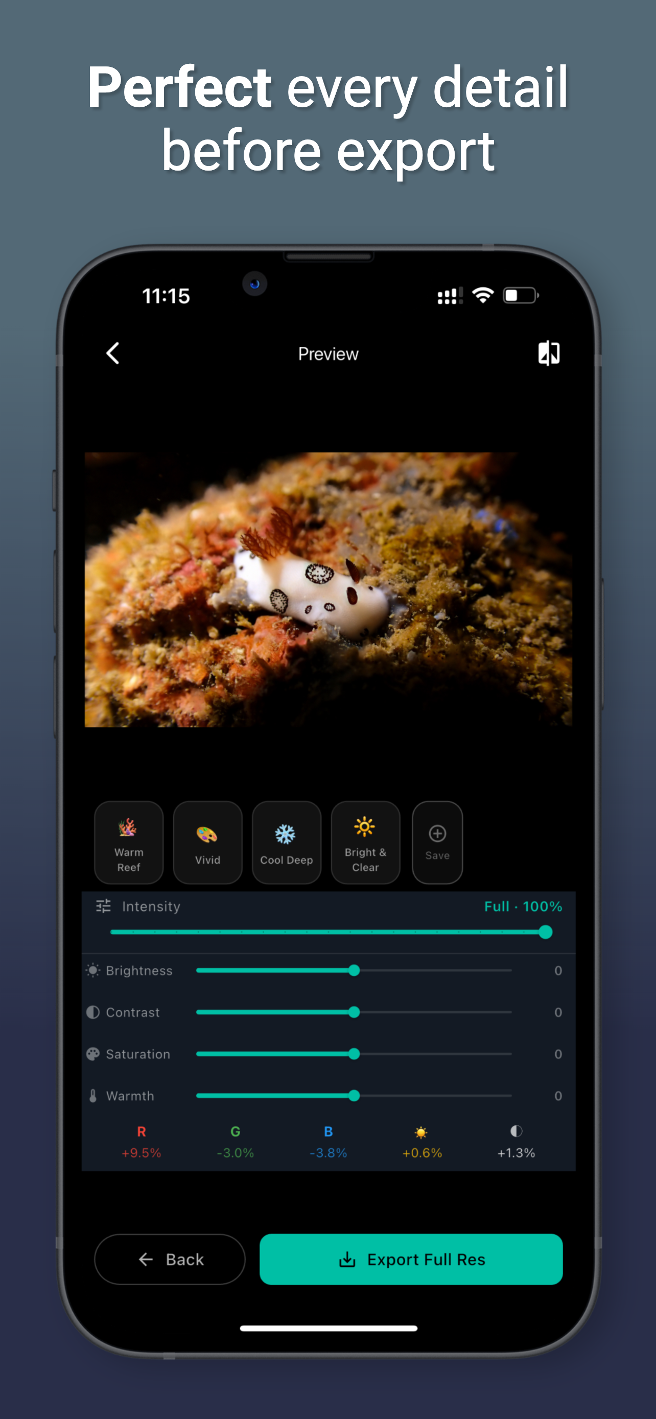 JellyFix: Underwater Colors Restore gallery image