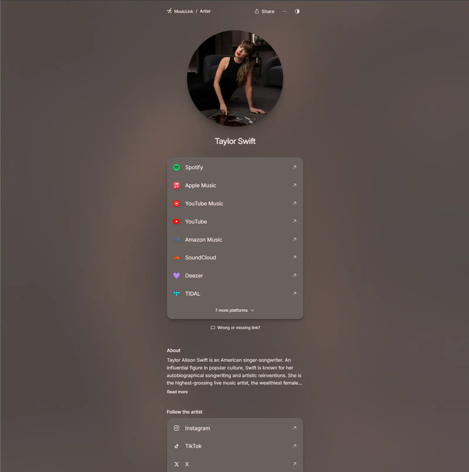 MusicLink screenshot 5