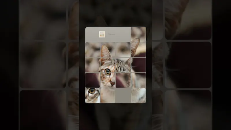 Tilemory screenshot 1 (video preview)