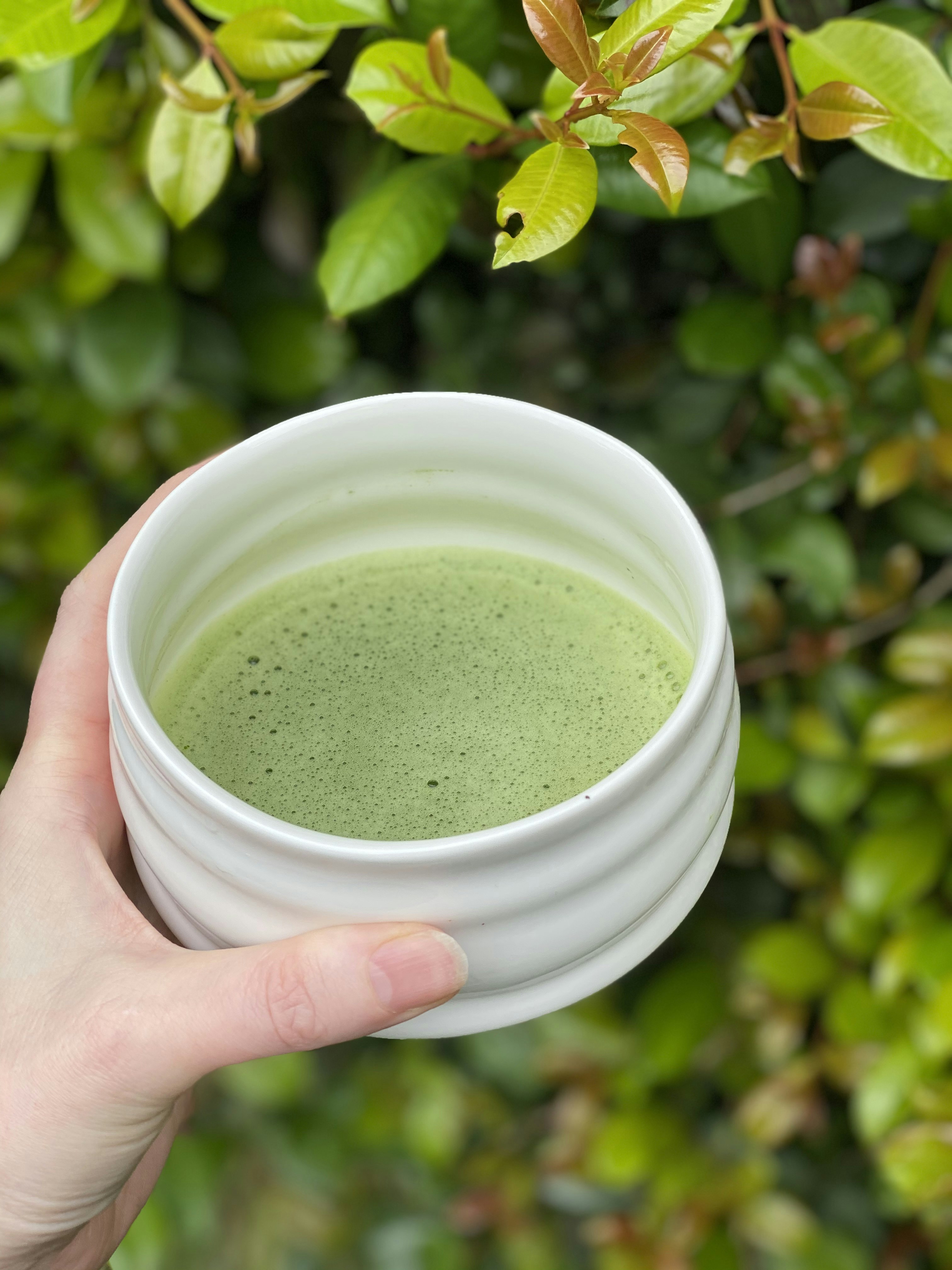Ceremonial Matcha Green Tea