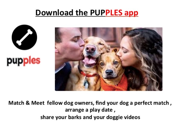 Pupples gallery image
