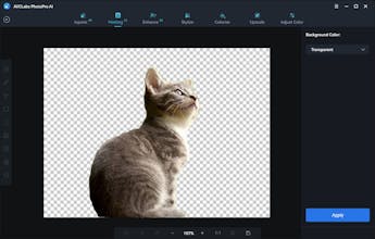 AVCLabs PhotoPro AI gallery image