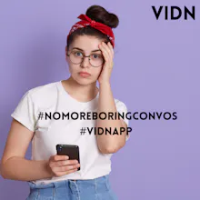 Vidn gallery image