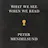 What We See When We Read