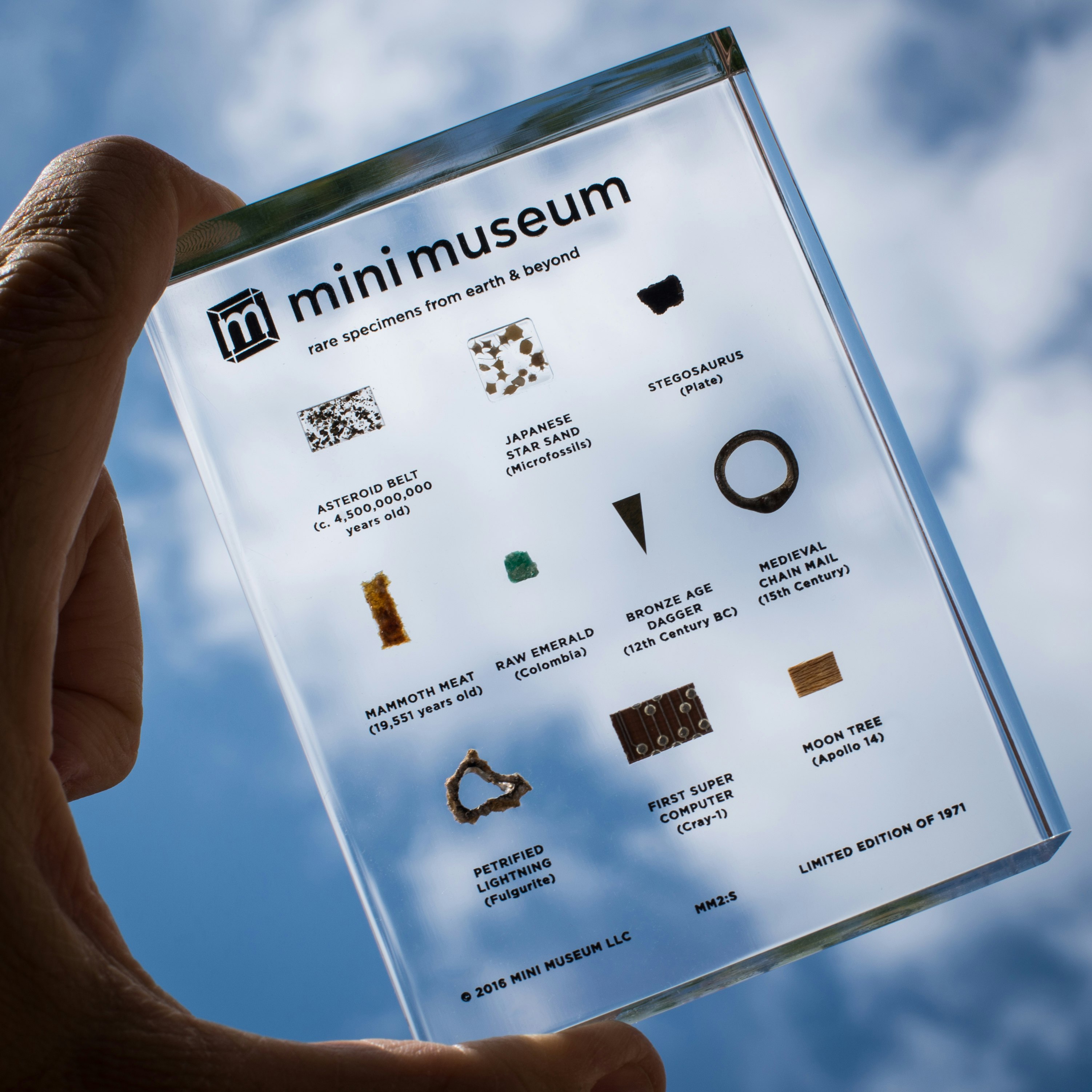 Mini Museum - Ten Specimens
