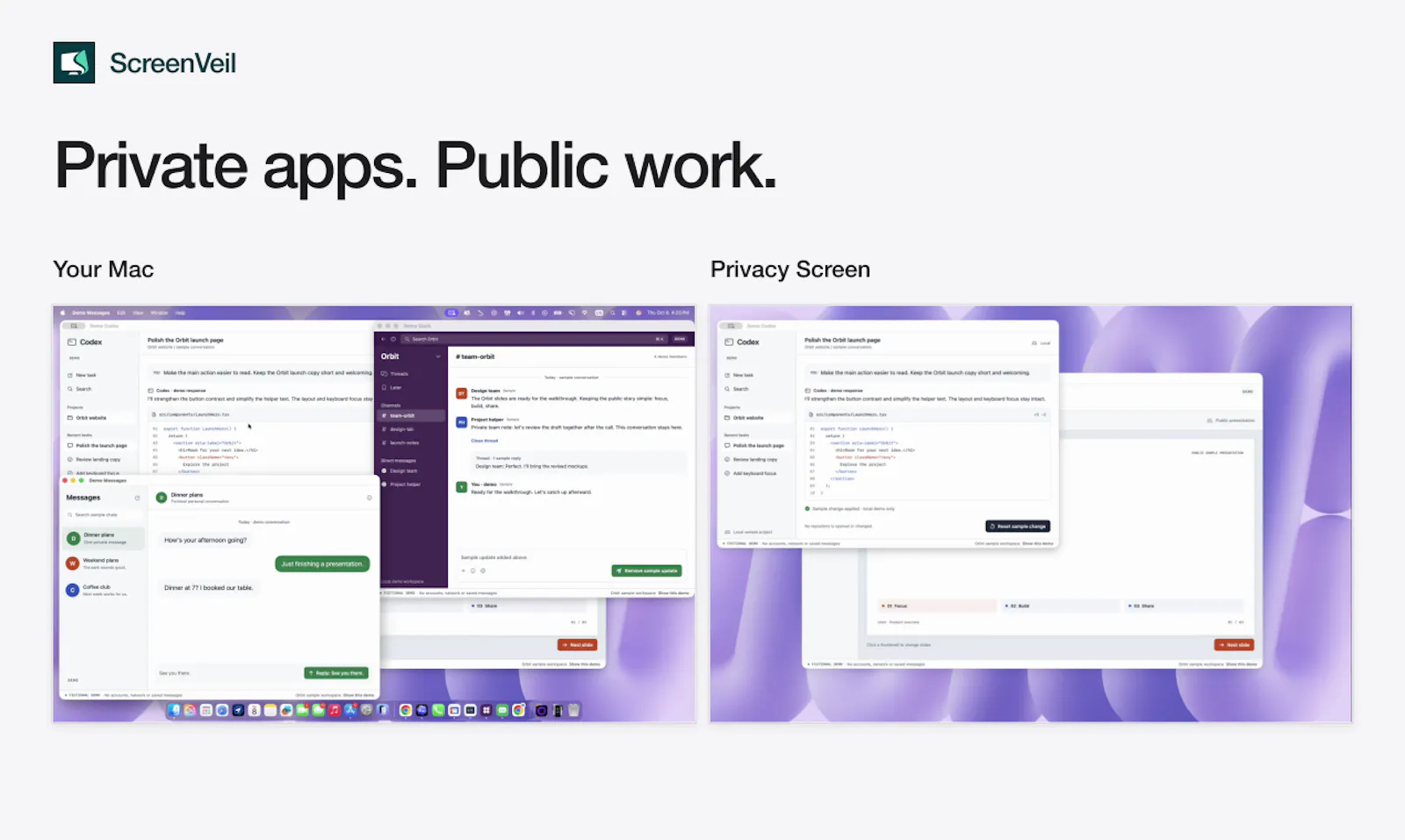ScreenVeil screenshot 3