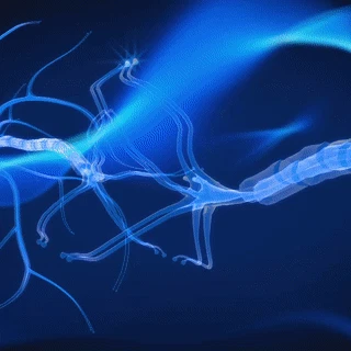 PlatoWork Brain Stimulator