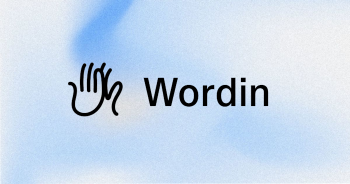 Wordin产品图