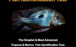 Fish Identification Tool media 2