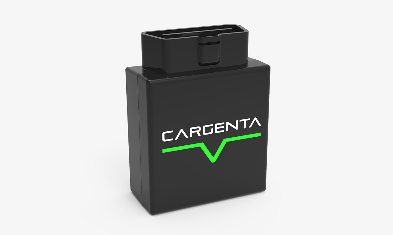 Cargenta Brain gallery image